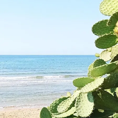 Il Gufo Della Marza * Ispica