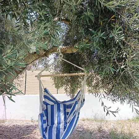 Il Gufo Della Marza Ispica